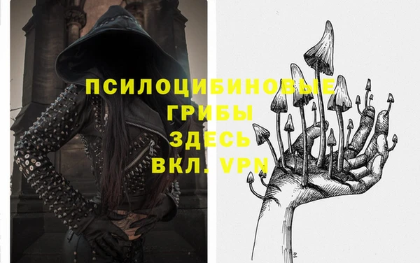 МДПВ Алзамай