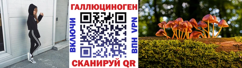 как найти   Котово  Псилоцибиновые грибы Cubensis 